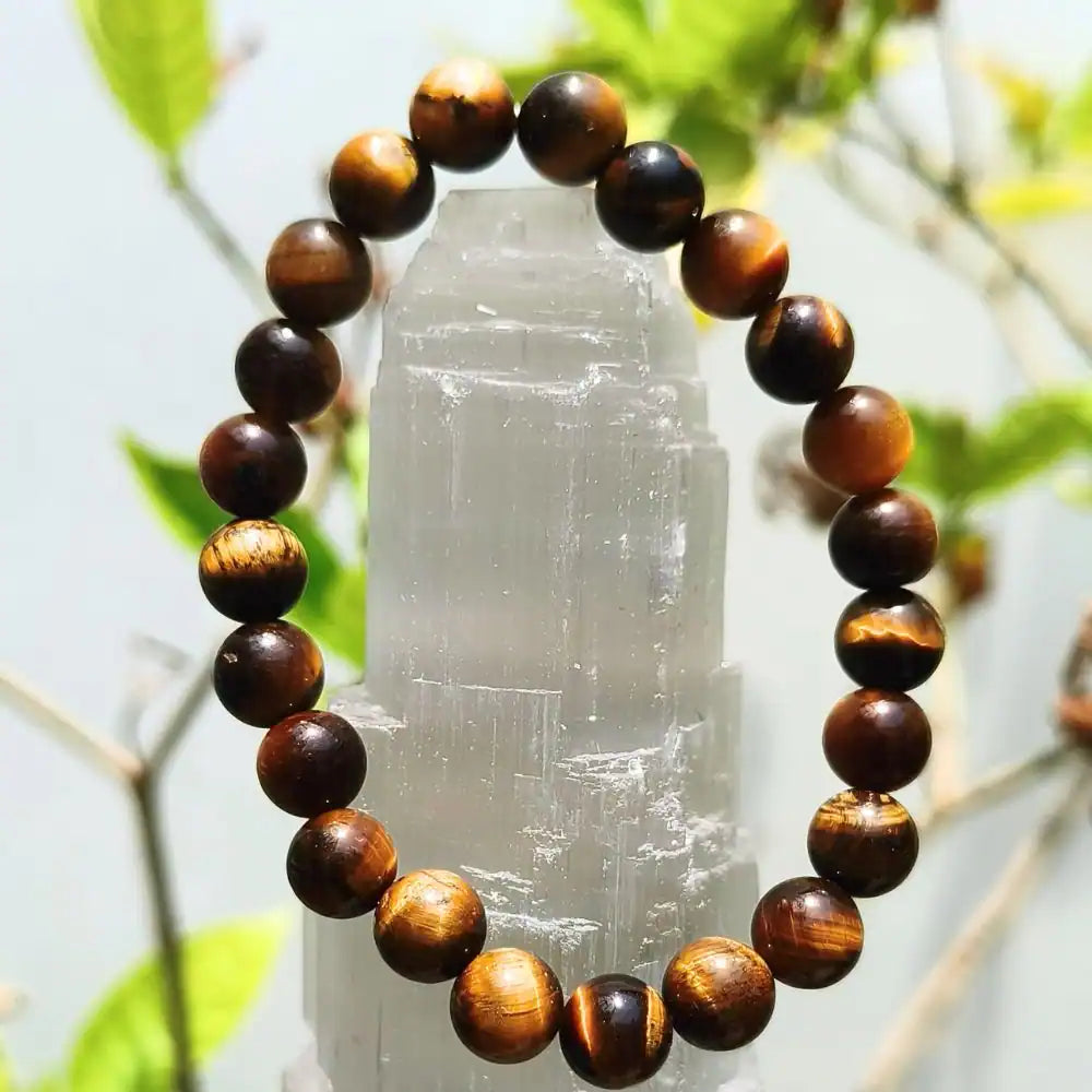 Tiger Eye bracelet 8mm polished round beads with rich golden brown and black stripes on display