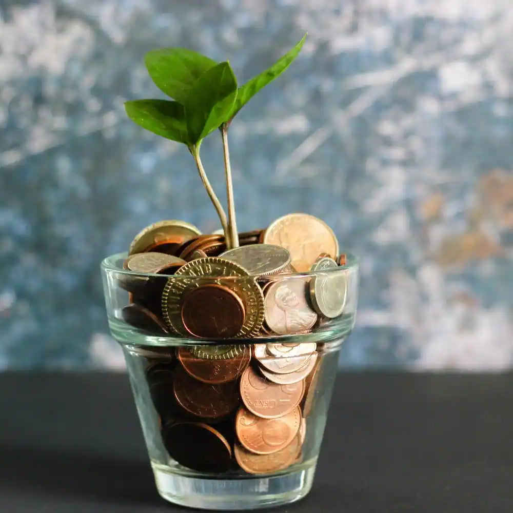 Money