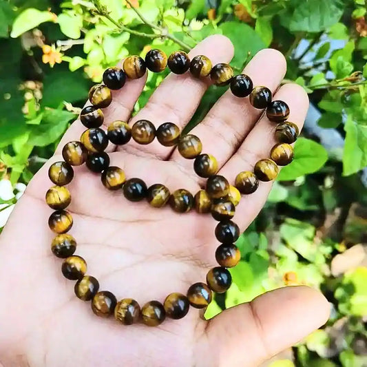 CRYSTCOP Tiger Eye bracelet 8mm with polished round beads held in hand against green foliage background