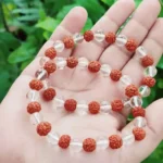 CRYSTCOP - RUDRAKSHA AND CLEAR QUARTZ BRACELET