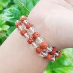 CRYSTCOP - RUDRAKSHA AND CLEAR QUARTZ BRACELET