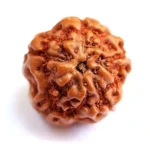 CRYSTCOP - 5 MUKHI RUDRAKSHA